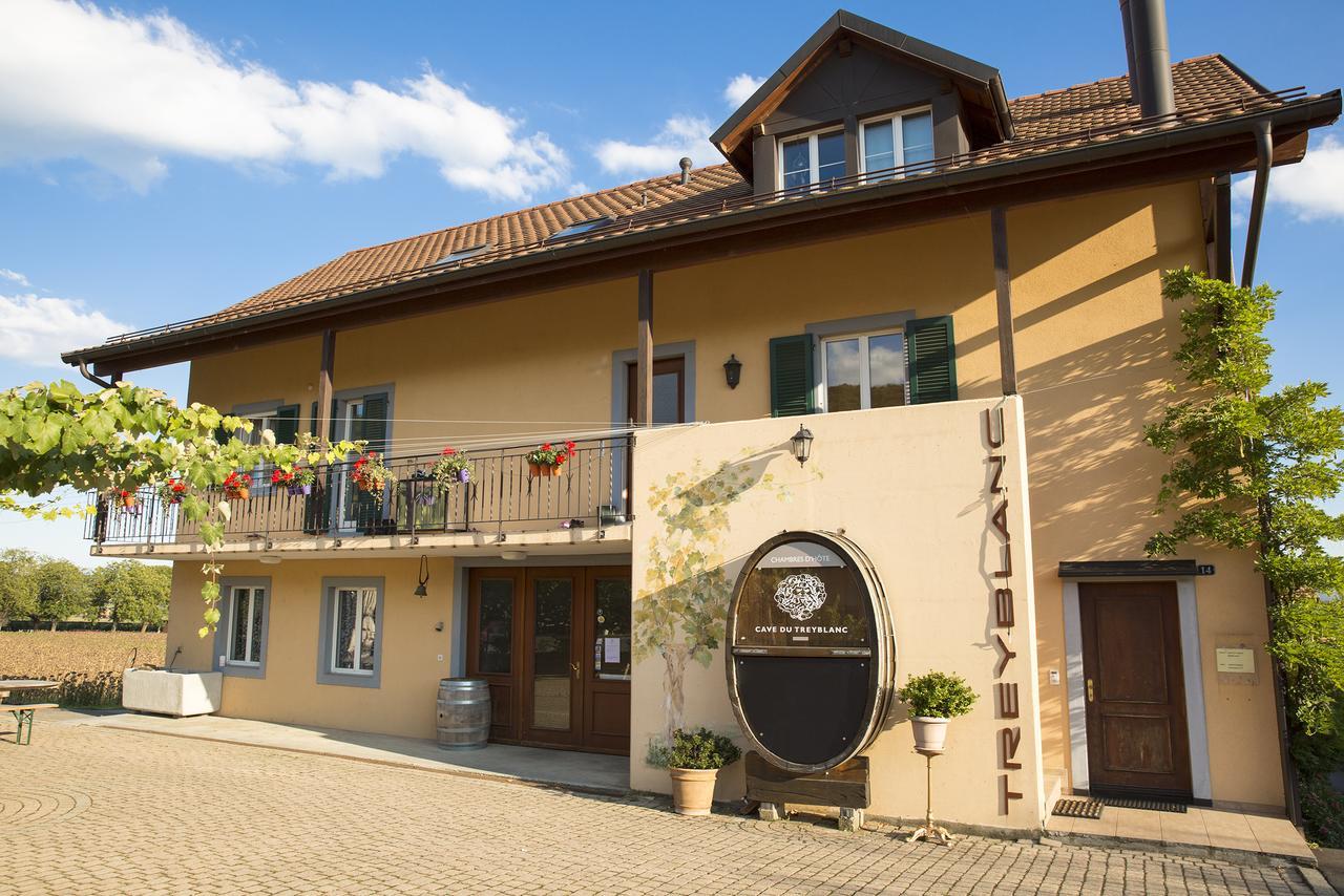 LuinsCave Du Treyblanc住宿加早餐旅馆 外观 照片