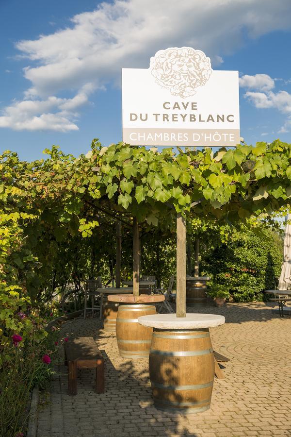LuinsCave Du Treyblanc住宿加早餐旅馆 外观 照片
